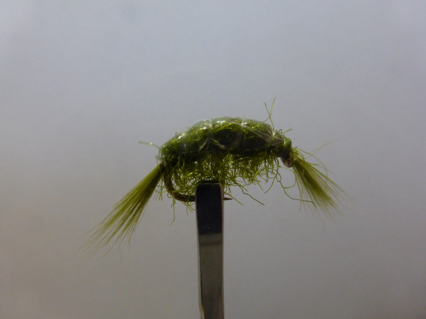 Size 18 Gammarus Weighted Olive